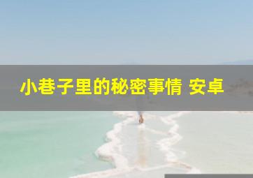 小巷子里的秘密事情 安卓